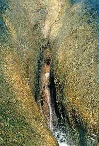 Erotischer Einblick in die Natur bei Adultschop