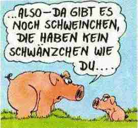 Schwein_3   bei Lulu