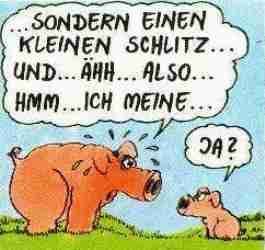 Schwein_4   bei Lulu